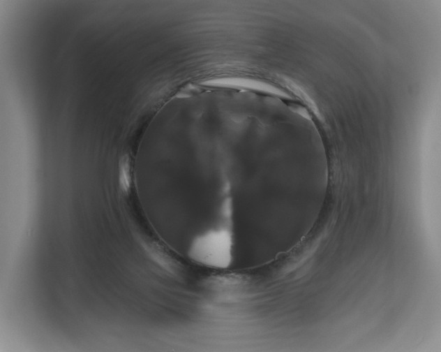 X0000111200069200907081250