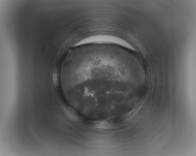 X0000111200074200907081250