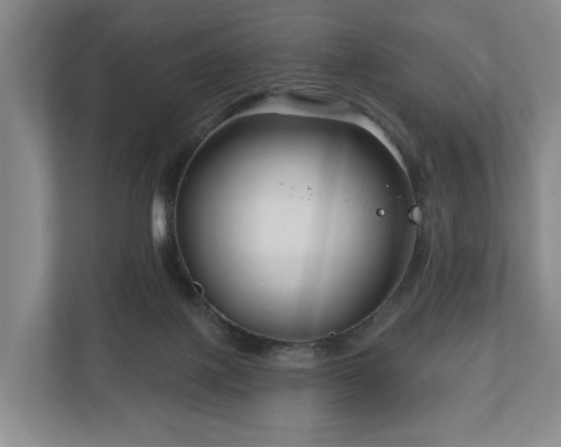 X0000111200075200907081250