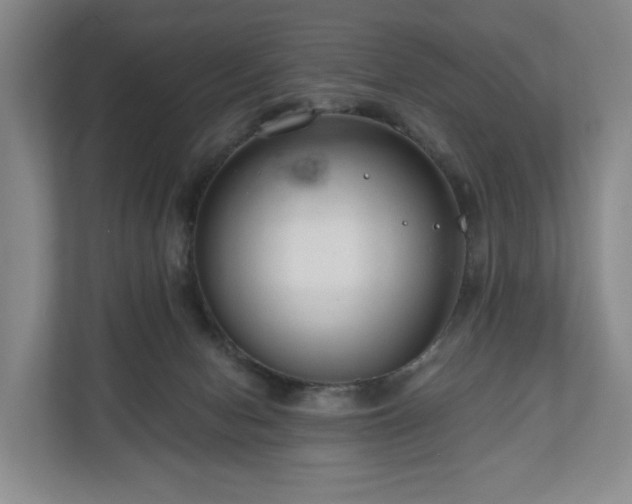 X0000111200078200907081250