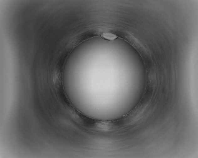 X0000111200079200907081250