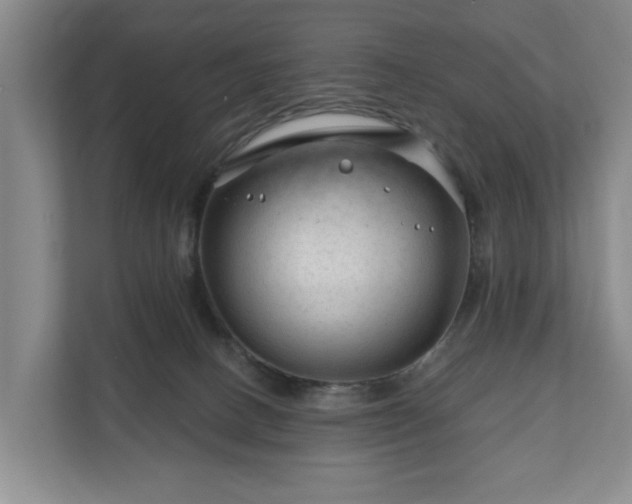 X0000111200082200907081250