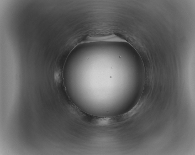 X0000111200090200907081250