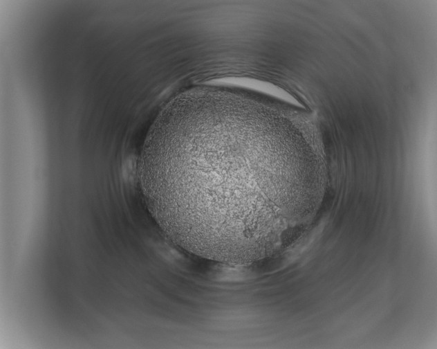 X0000111200093200907081250