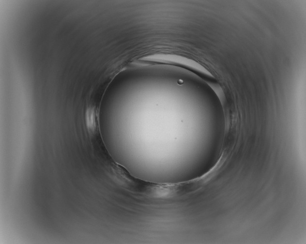 X0000111200094200907081250