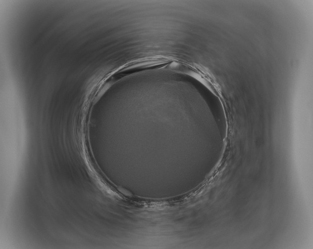 X0000111200097200907081250