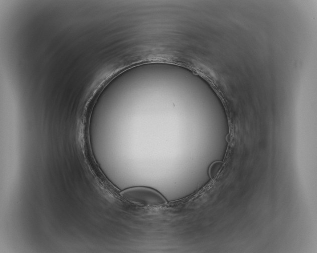 X0000111200098200907081250