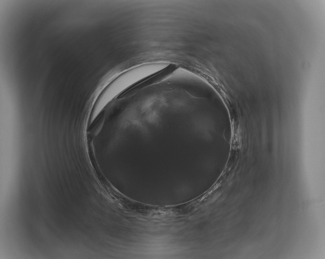 X0000111200099200907081250