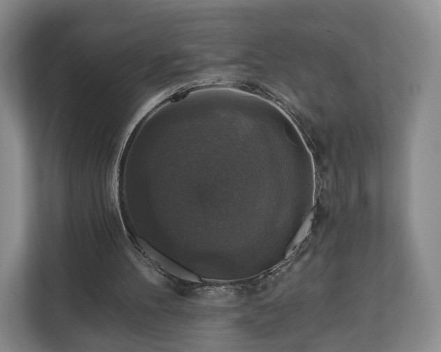 X0000111200100200907081250