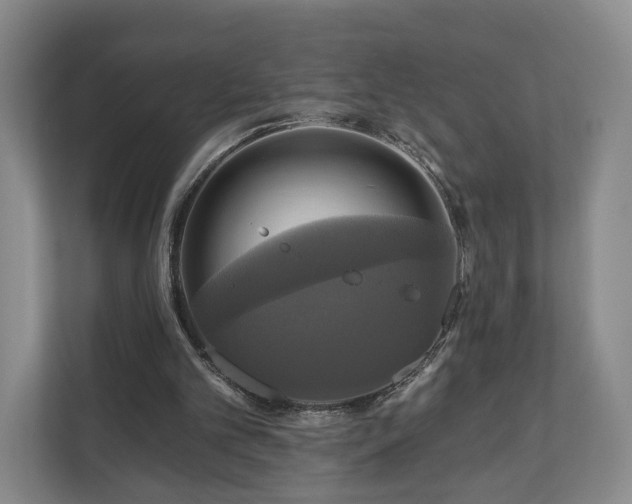 X0000111200101200907081250