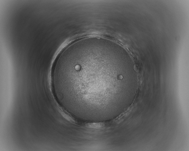 X0000111200102200907081250