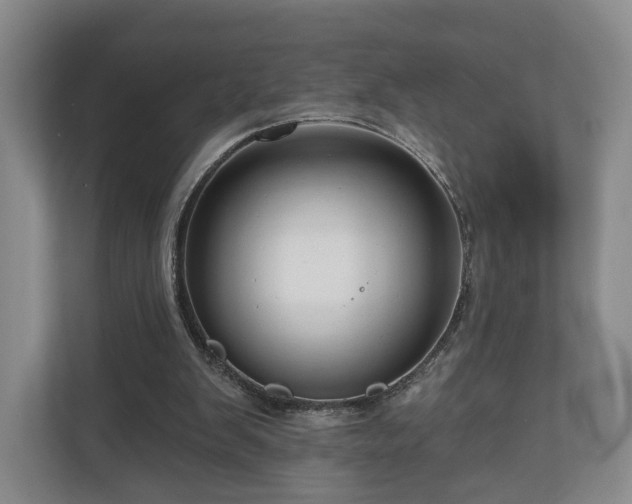 X0000111200103200907081250