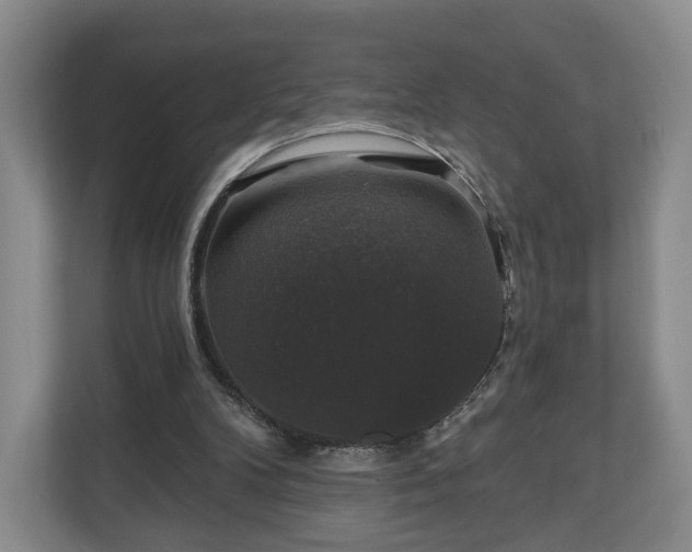 X0000111200104200907081250