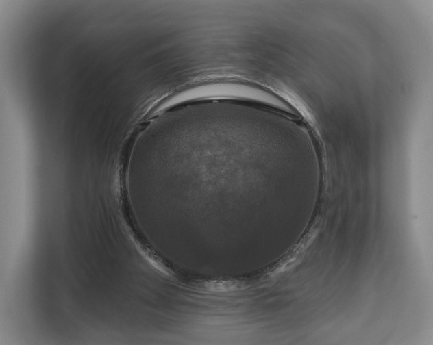 X0000111200105200907081250