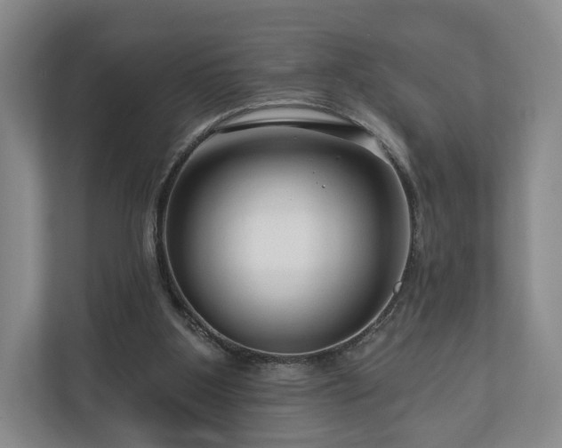 X0000111200107200907081250