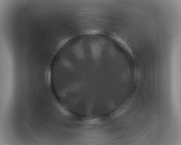 X0000111200110200907081250