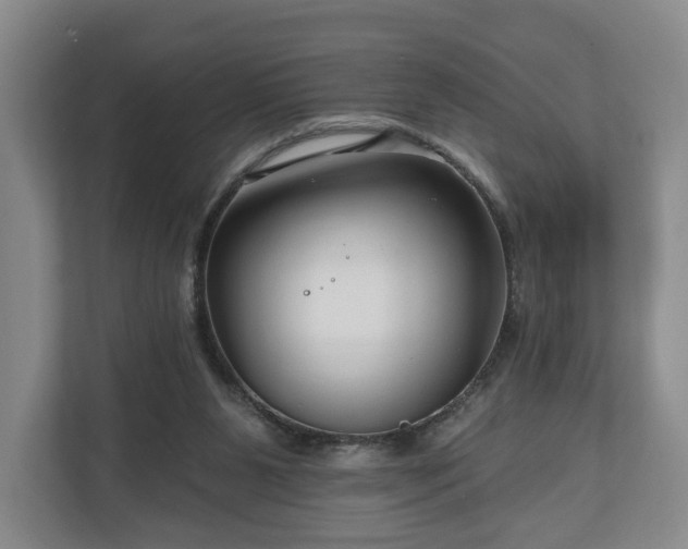 X0000111200111200907081249