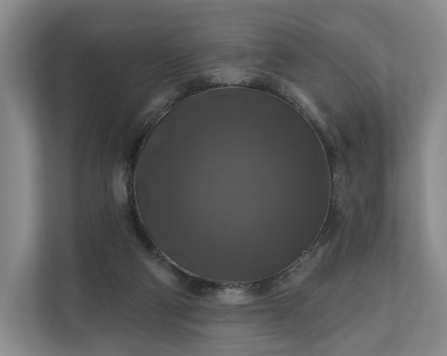 X0000111200114200907081249