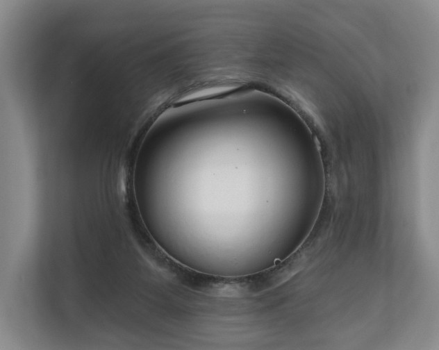 X0000111200115200907081249