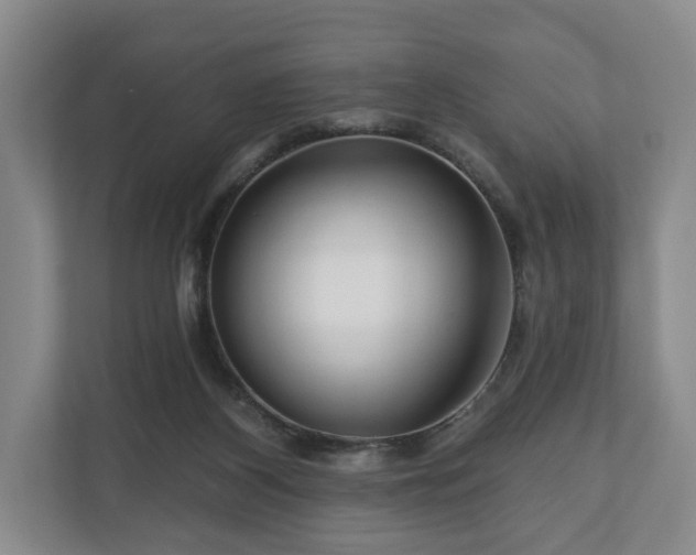 X0000111200116200907081249