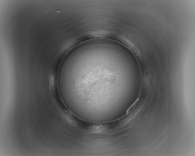 X0000111200117200907081249