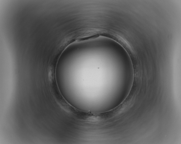 X0000111200119200907081249