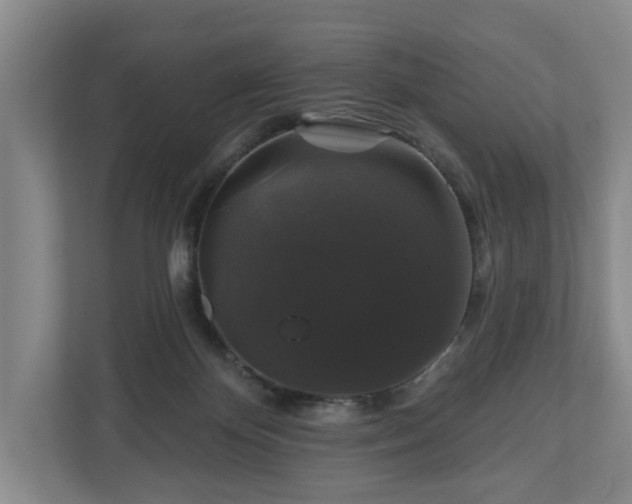 X0000111200124200907081249