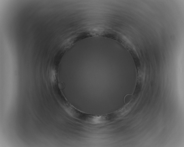 X0000111200130200907081249