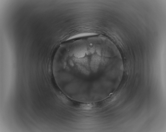 X0000111200131200907081249