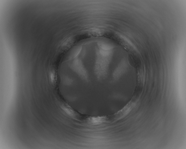 X0000111200134200907081249