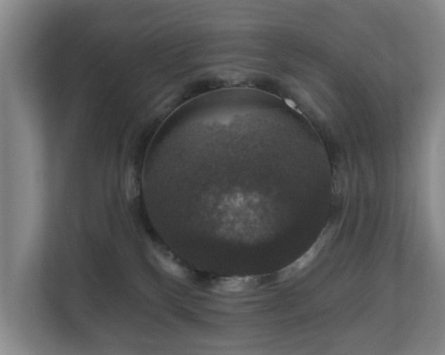 X0000111200136200907081249