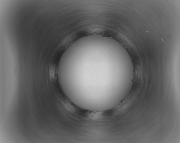 X0000111200138200907081249