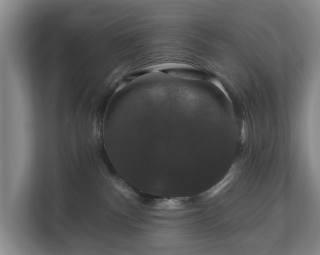 X0000111200140200907081249