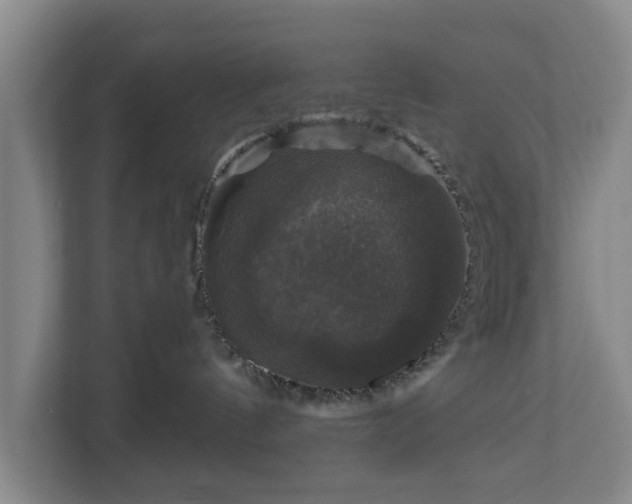 X0000111200144200907081249