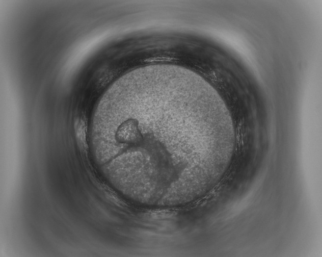 X0000111200146200907081248