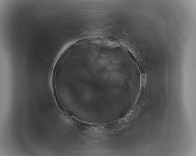 X0000111200147200907081248