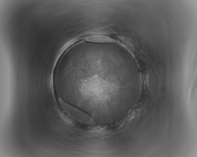 X0000111200148200907081248