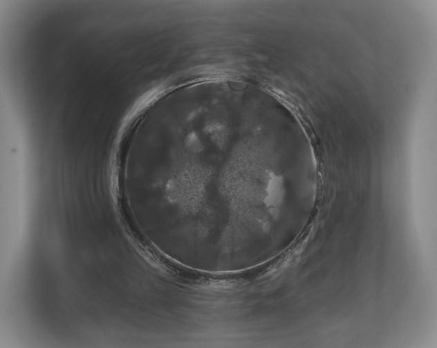 X0000111200149200907081248