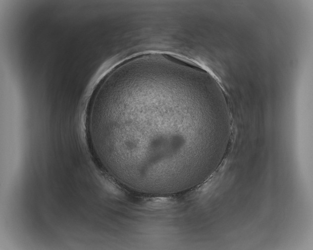 X0000111200151200907081249