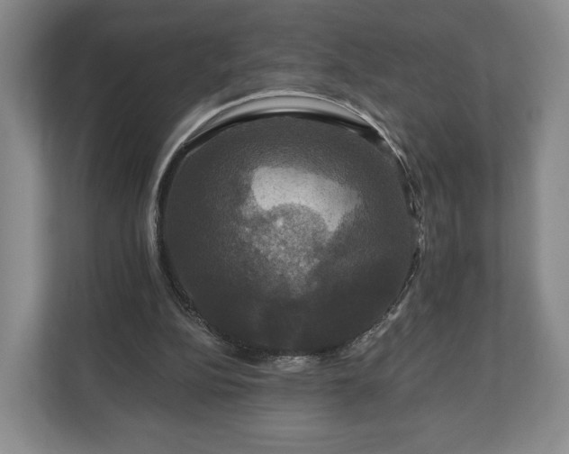 X0000111200152200907081249