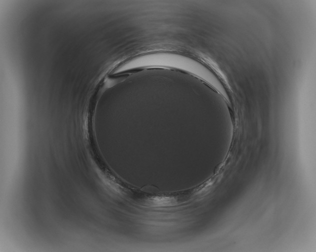 X0000111200154200907081249