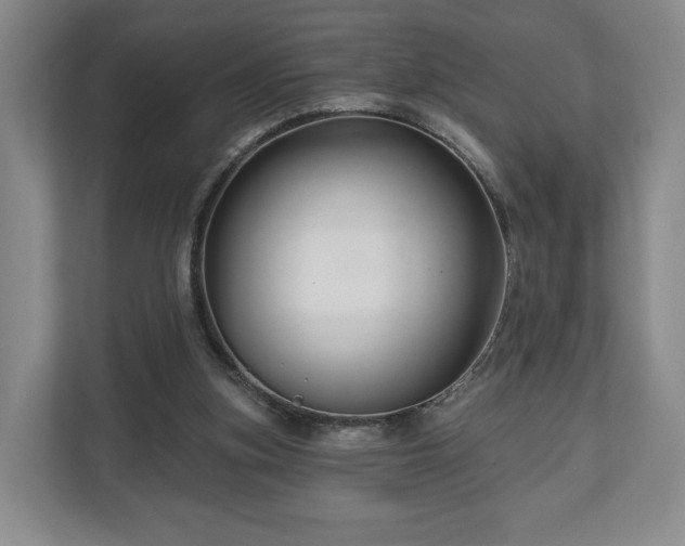 X0000111200155200907081249