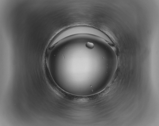 X0000111200156200907081249