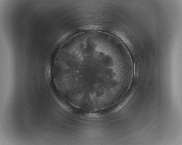 X0000111200157200907081249