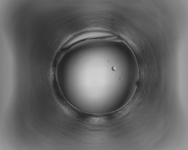 X0000111200160200907081249