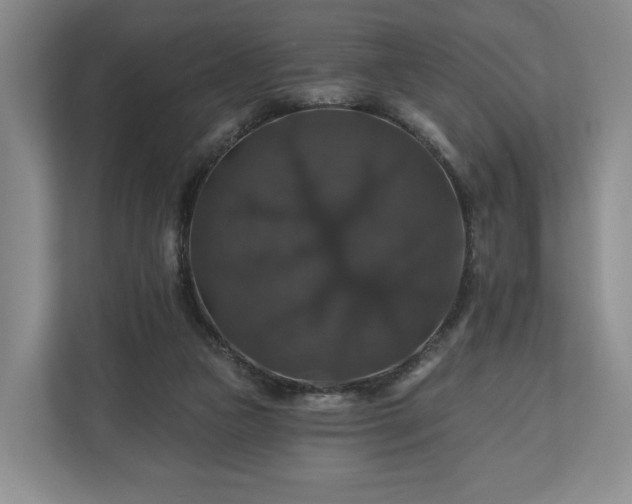 X0000111200161200907081249