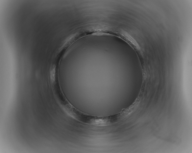 X0000111200163200907081249