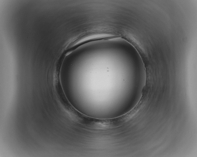 X0000111200164200907081249