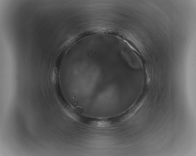 X0000111200165200907081249