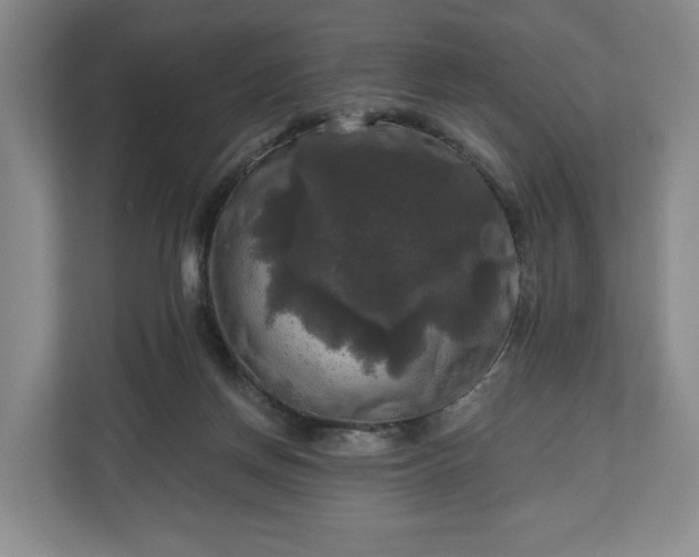 X0000111200166200907081249